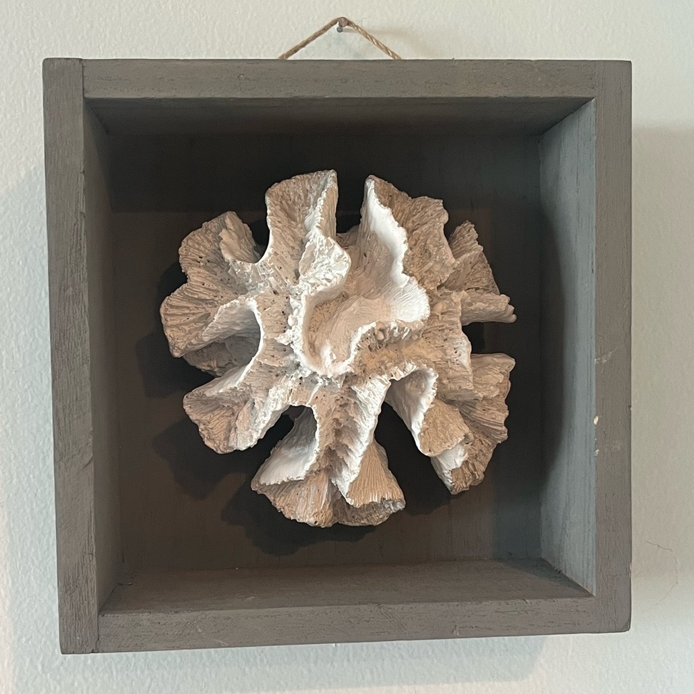 White Coral in 7.5” Square Grey Shadowbox Wall Decor - Picture 1 of 4